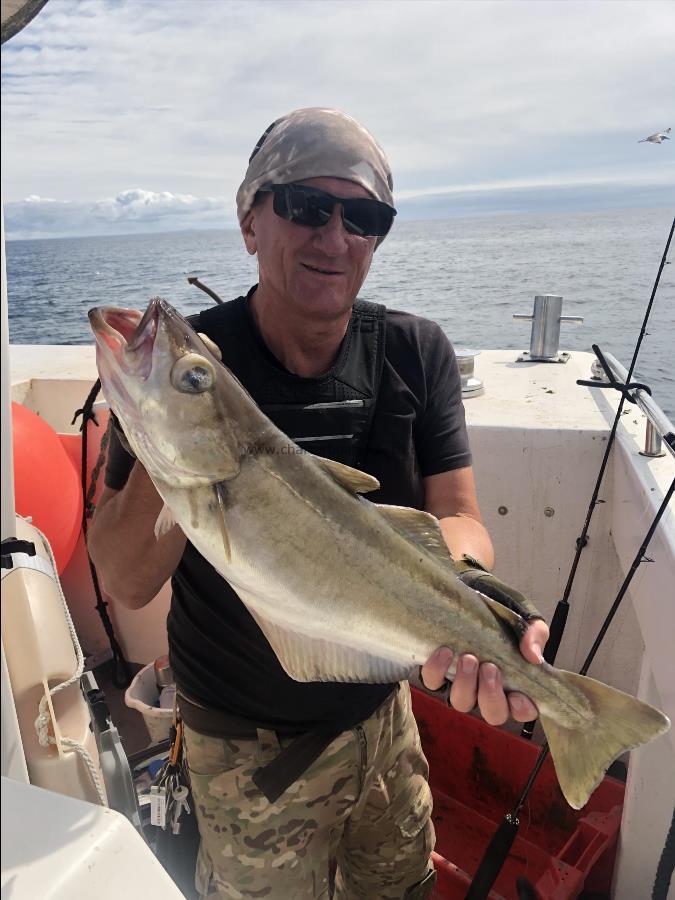 5 lb Pollock by Unknown