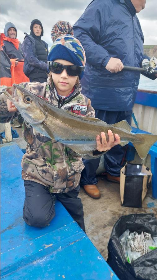 4 lb 1 oz Pollock by Unknown