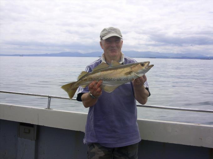 5 lb Pollock by Alan