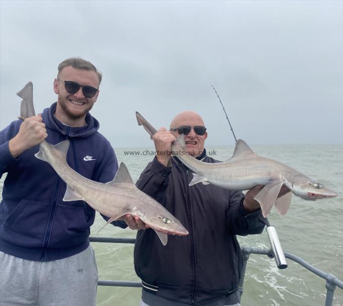 8 lb Smooth-hound by Unknown
