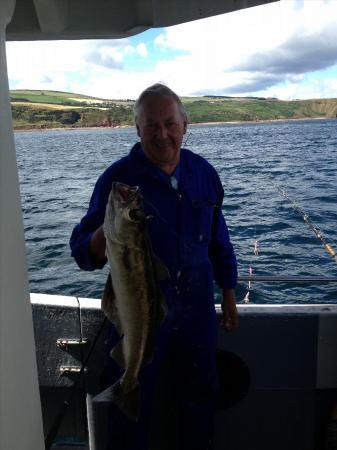 8 lb Pollock by Deckhand John