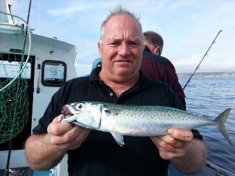 1 lb 7 oz Mackerel by Spanish for maxi