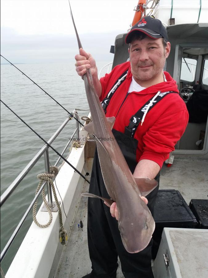 12 lb 8 oz Smooth-hound (Common) by Robin tarr