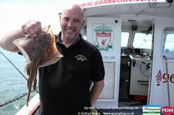 1 lb Spotted Ray by Jeffers