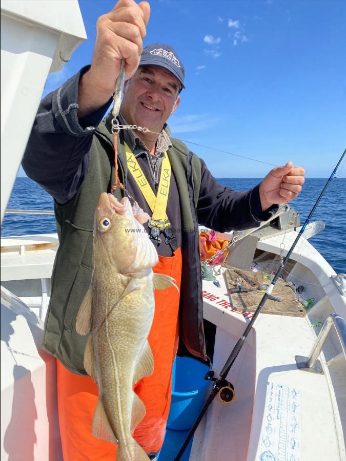 3 lb 8 oz Cod by Nige Hall.