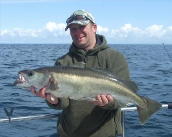 11 lb Pollock by Paul Bird