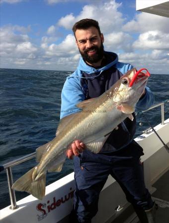 13 lb Pollock by Unknown