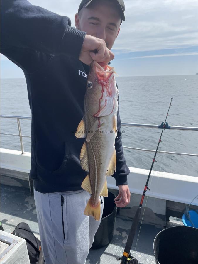 3 lb Cod by Unknown