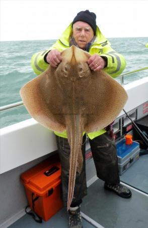 15 lb Blonde Ray by Unknown