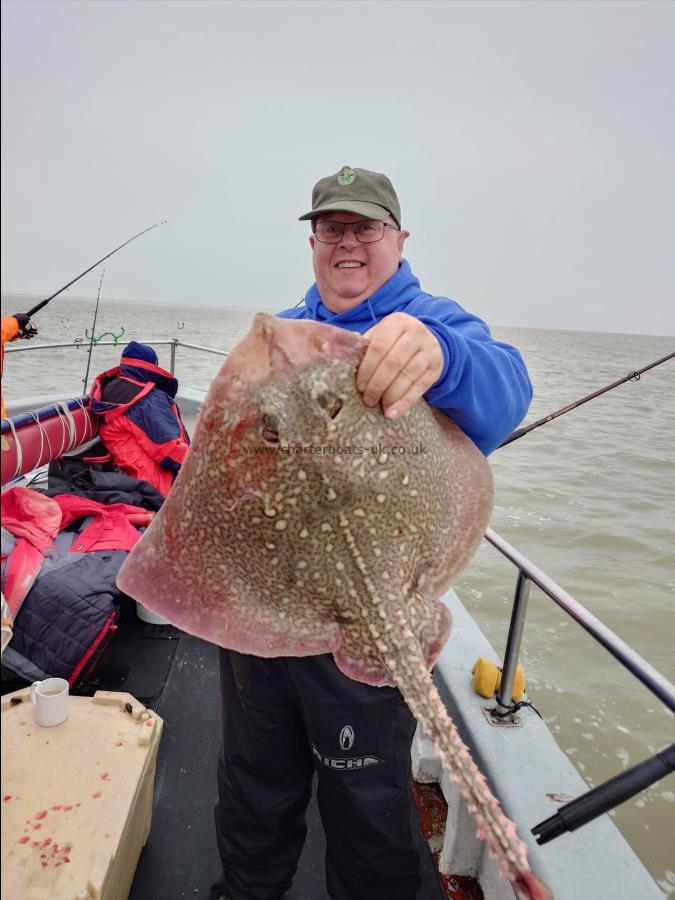 8 lb Thornback Ray by Big nige