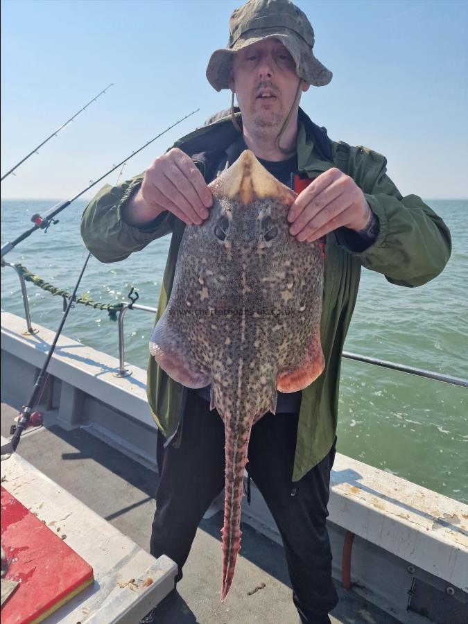 8 lb Thornback Ray by Michael