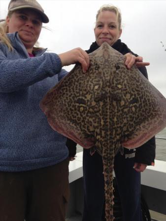 11 lb Thornback Ray by Debbie Welstead