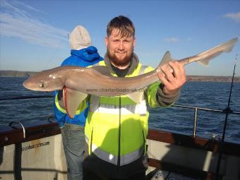 7 lb Smooth-hound (Common) by Alex December hound !