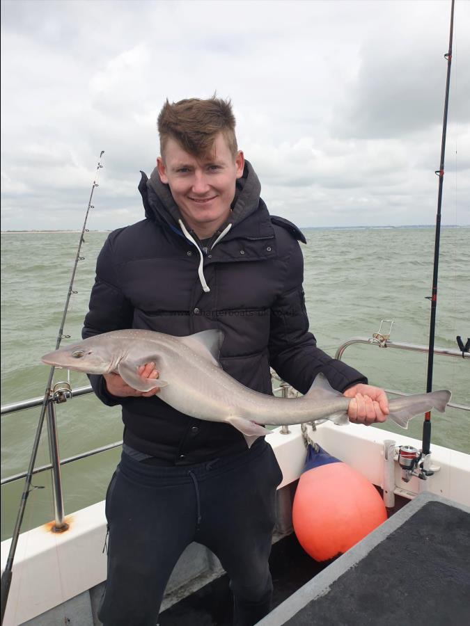 9 lb 8 oz Smooth-hound (Common) by Bob Marshall