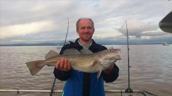 7 lb Cod by peter knight