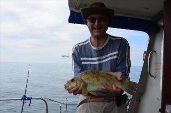 4 lb Ballan Wrasse by Stephen Wake