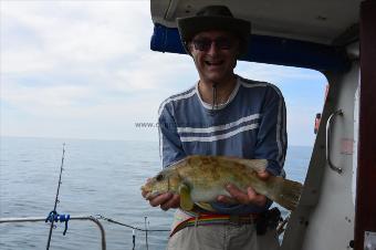 4 lb Ballan Wrasse by Stephen Wake