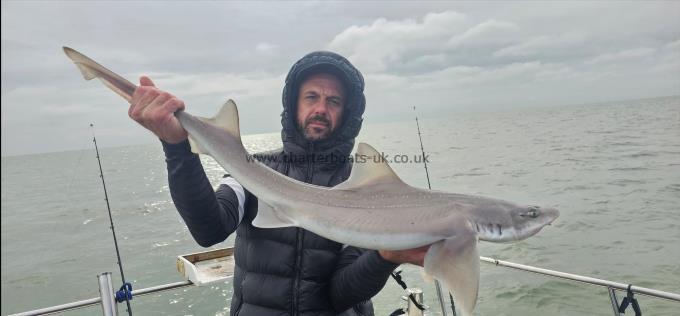 7 lb 12 oz Starry Smooth-hound by Arthur