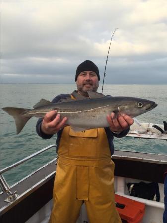 7 lb Coalfish (Coley/Saithe) by Unknown