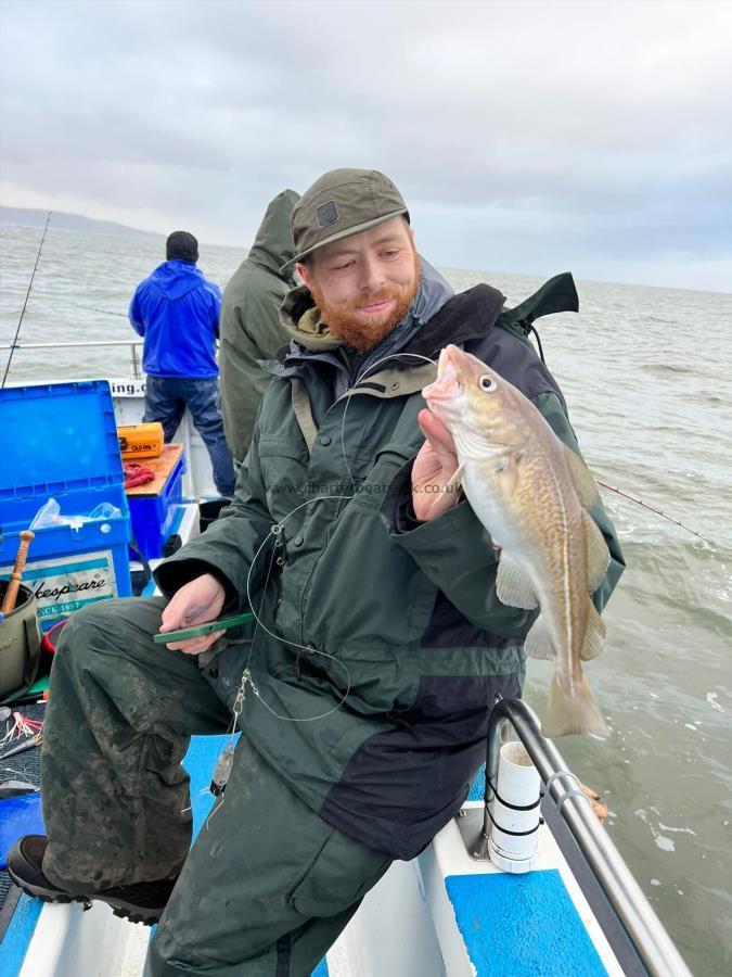 2 lb 12 oz Cod by Vinny.