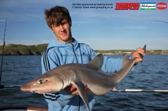 16 lb Starry Smooth-hound by Ryan