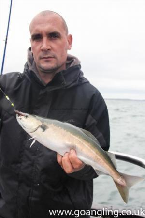 2 lb Coalfish (Coley/Saithe) by Pete