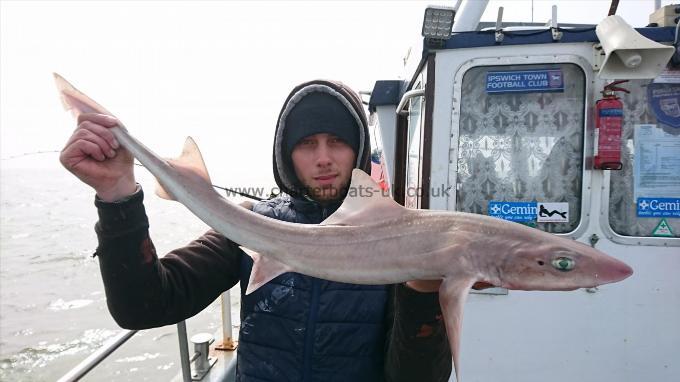 9 lb 5 oz Smooth-hound (Common) by Dan from ramsgate
