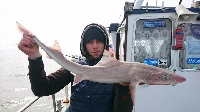 9 lb 5 oz Smooth-hound (Common) by Dan from ramsgate