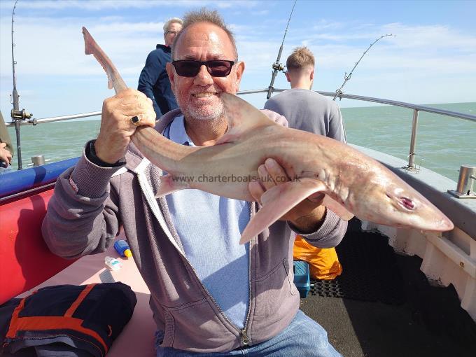 4 lb 8 oz Starry Smooth-hound by Colin