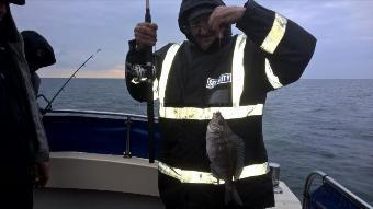 2 lb Black Sea Bream by Stephen Wake