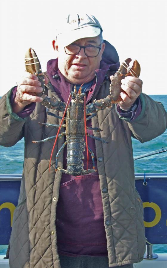 2 lb 8 oz Lobster by Steve Gill