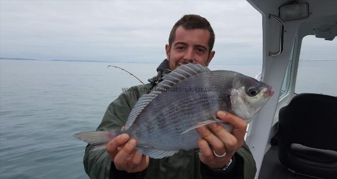 2 lb 9 oz Black Sea Bream by Max