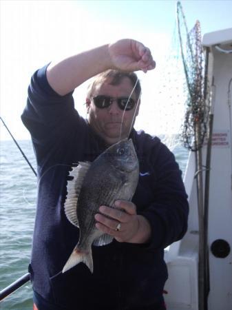 3 lb Black Sea Bream by Unknown