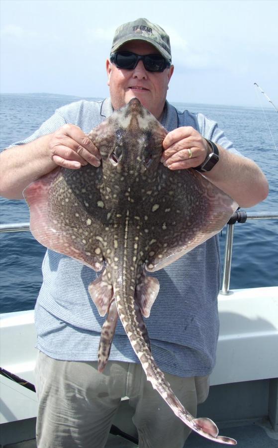 8 lb 4 oz Thornback Ray by Paul Milkins