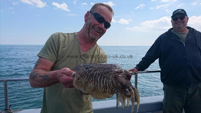 3 lb 2 oz Cuttlefish by Steve from Faversham