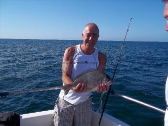 3 lb 14 oz Black Sea Bream by Unknown