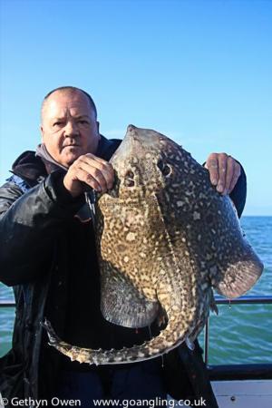 12 lb Thornback Ray by Peter