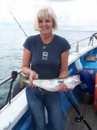 4 lb Pollock by LESLEY COUSINS CAUGHT A NICE POLLOCK