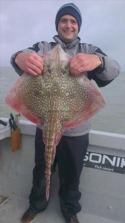 8 lb 2 oz Thornback Ray by alex from hawkhurst