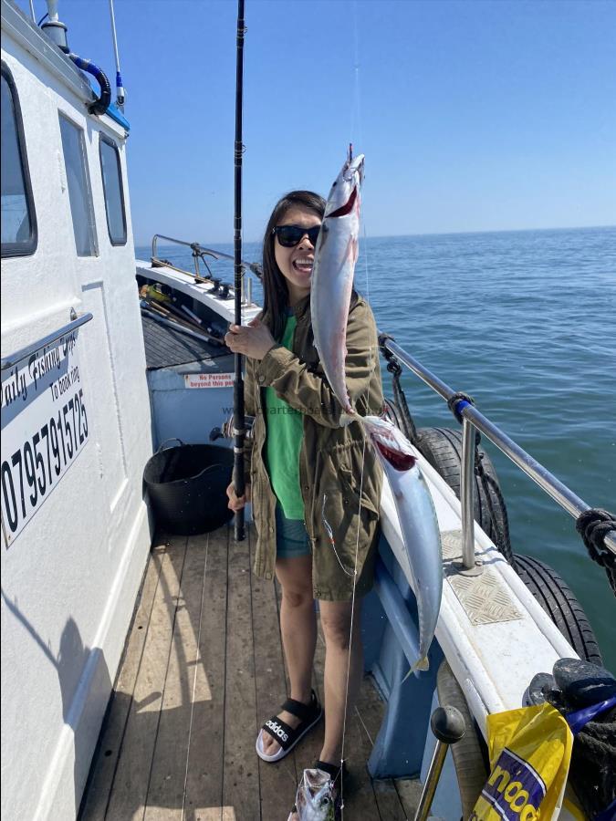 1 lb Mackerel by Mackerel fishing