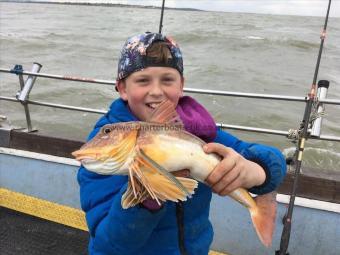 2 lb Red Gurnard by Oliver lucking