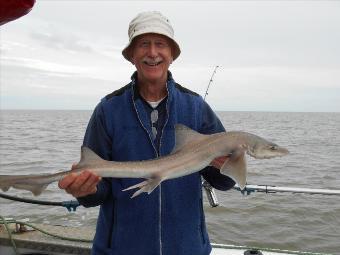 5 lb Starry Smooth-hound by Derek Ball