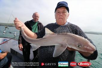 8 lb Starry Smooth-hound by Harm