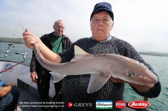 8 lb Starry Smooth-hound by Harm