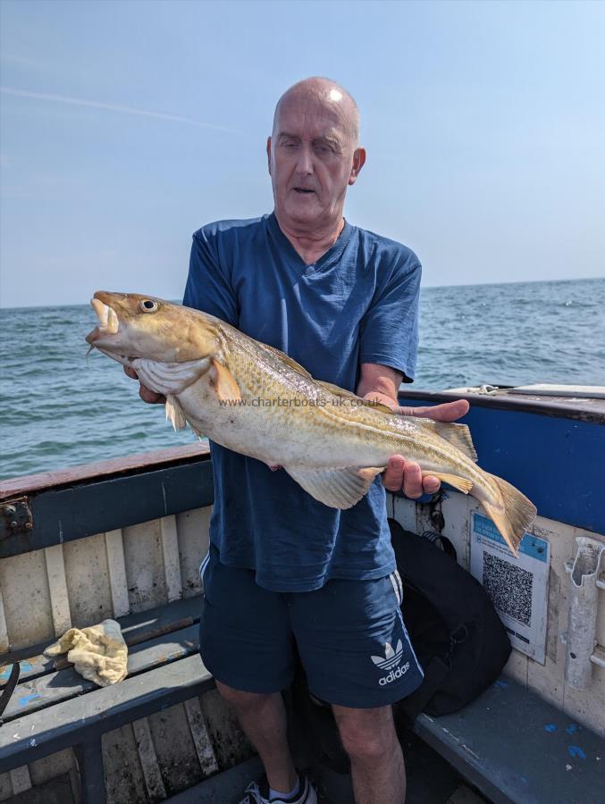 7 lb 1 oz Cod by Unknown