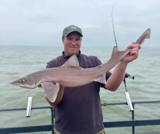 9 lb Smooth-hound by Unknown