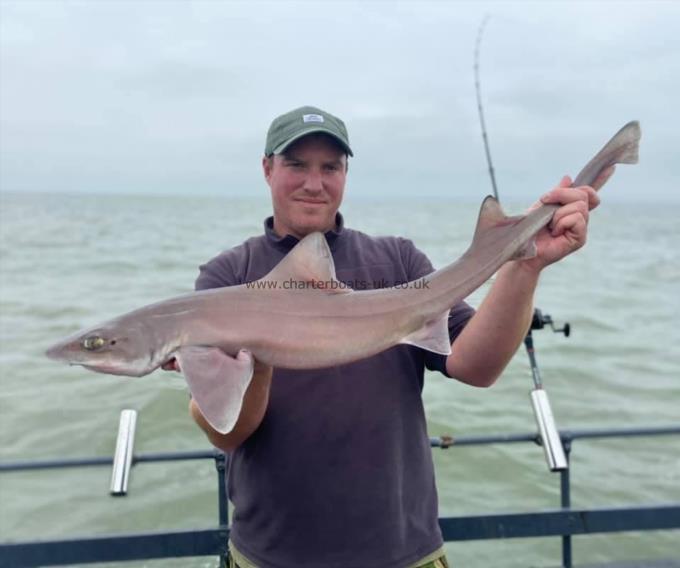 9 lb Smooth-hound (Common) by Unknown