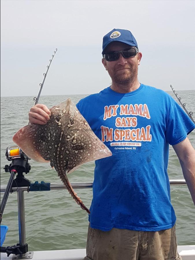 3 lb 5 oz Thornback Ray by Pete