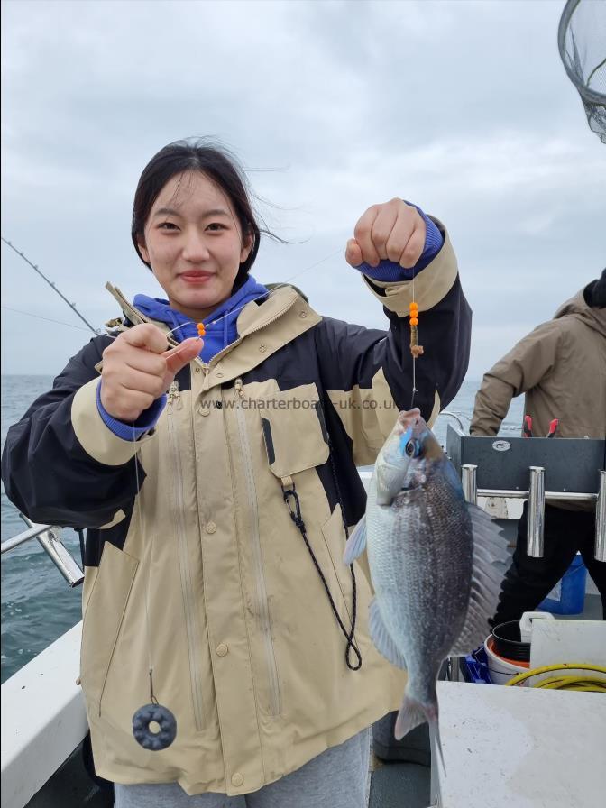 sea fishing trips from poole