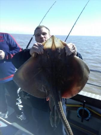 16 lb Blonde Ray by Dan powel